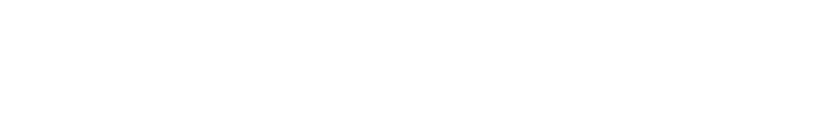 PT. Puma Makmur AE